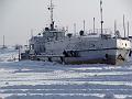 zanlanker 005